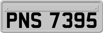 PNS7395