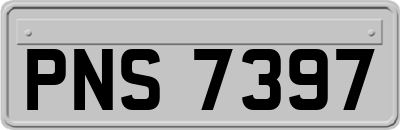 PNS7397