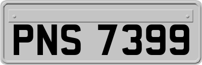 PNS7399