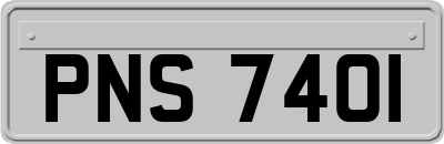 PNS7401