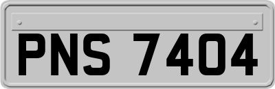 PNS7404