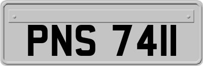 PNS7411
