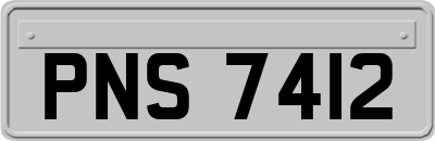 PNS7412