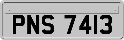 PNS7413