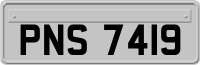 PNS7419