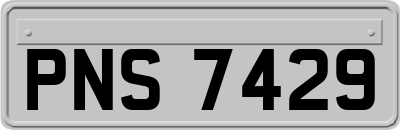 PNS7429