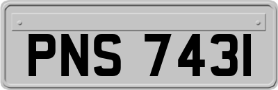 PNS7431