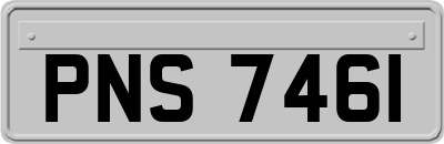 PNS7461