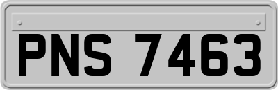 PNS7463