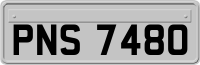PNS7480