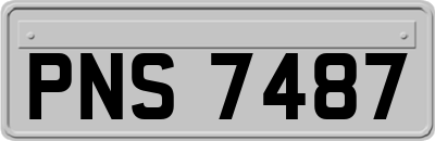 PNS7487