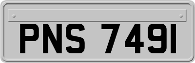 PNS7491