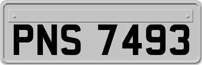 PNS7493