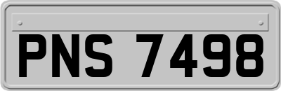 PNS7498