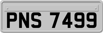 PNS7499