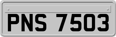 PNS7503