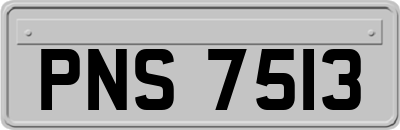 PNS7513