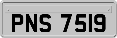 PNS7519