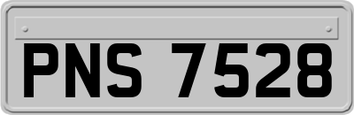 PNS7528