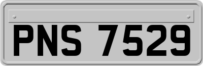PNS7529