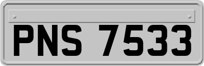 PNS7533