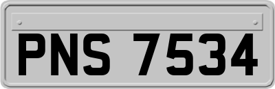 PNS7534