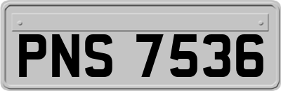 PNS7536