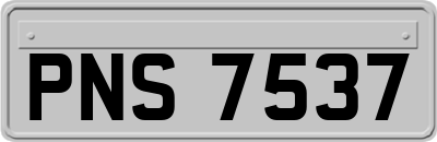 PNS7537