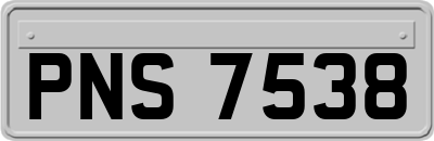 PNS7538