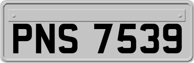 PNS7539