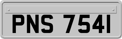 PNS7541