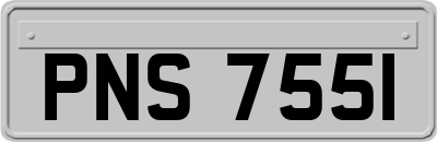 PNS7551