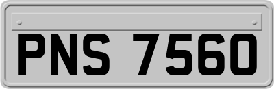 PNS7560