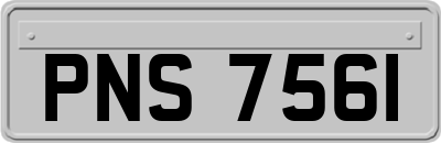 PNS7561