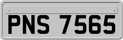 PNS7565