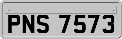 PNS7573