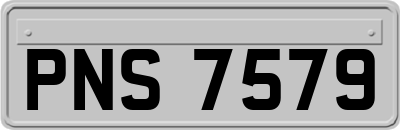 PNS7579