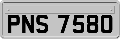 PNS7580