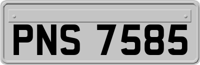 PNS7585