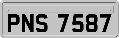 PNS7587
