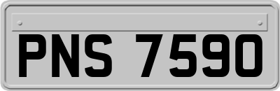 PNS7590