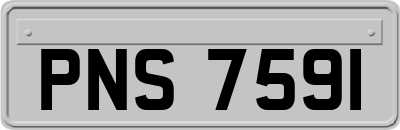 PNS7591