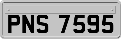 PNS7595
