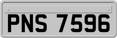 PNS7596