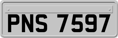 PNS7597