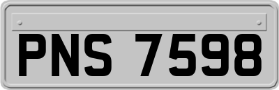 PNS7598