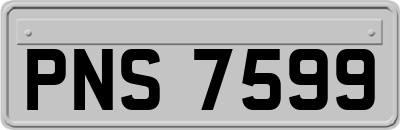 PNS7599