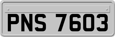 PNS7603