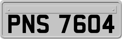 PNS7604