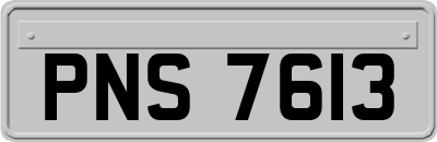 PNS7613